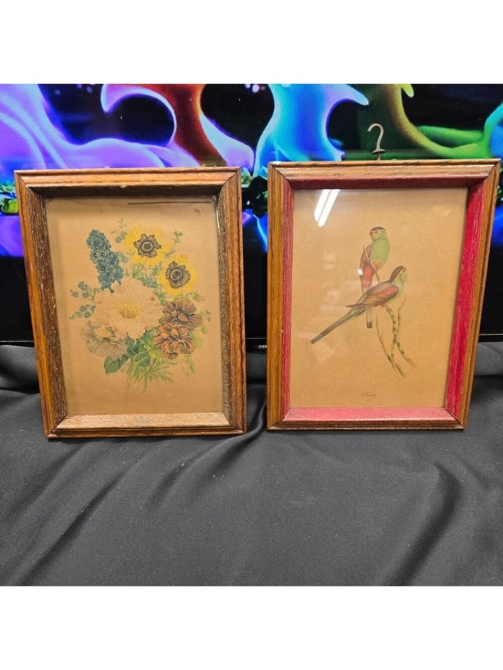 Vintage 1930s-50s John Gould Parrot Lithograph & Floral Print Pair SZL